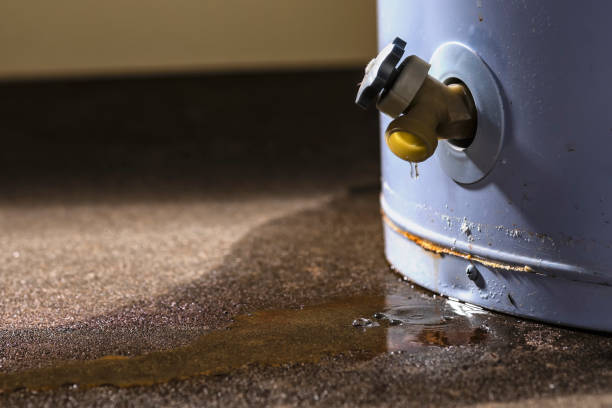 Best Commercial water damage restoration  in Fruitland, IA