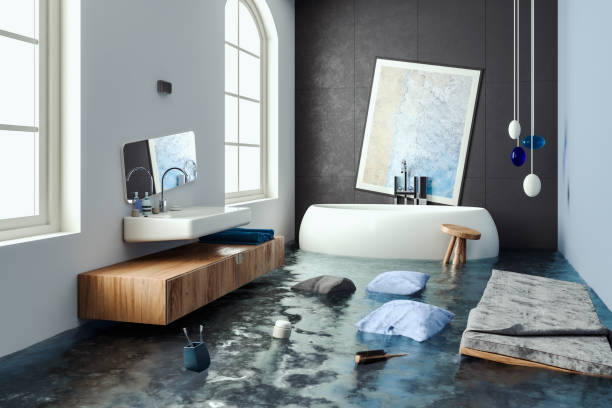 Best Local water damage restoration  in Fruitland, IA