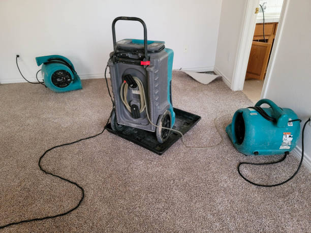 Best Basement water damage restoration  in Fruitland, IA