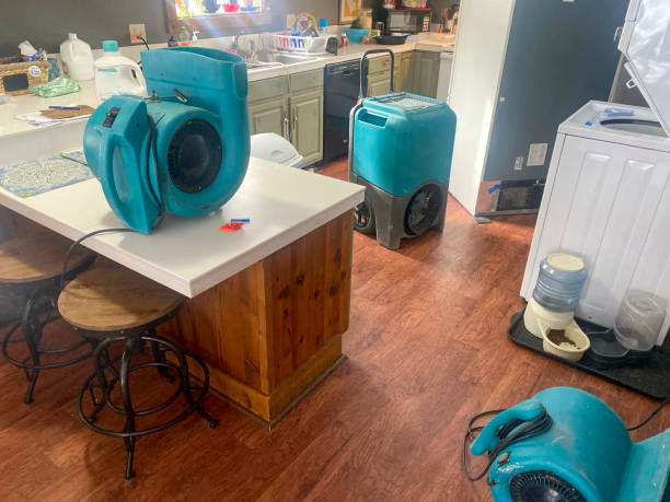 Best Sewage cleanup and water damage restoration  in Fruitland, IA