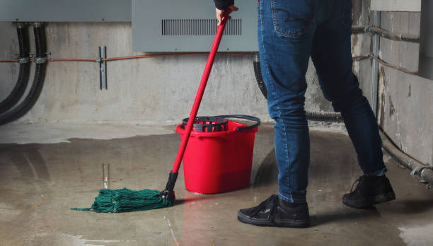 Best Residential water damage restoration  in Fruitland, IA