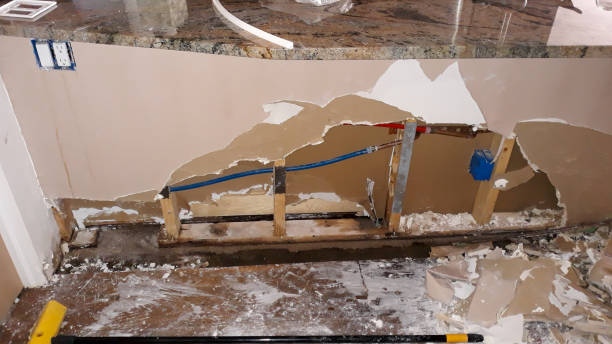 Best Sewage cleanup and water damage restoration  in Fruitland, IA