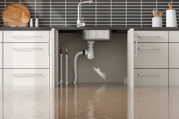 Best Water damage restoration near me  in Fruitland, IA