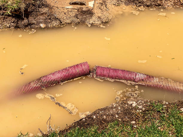 Carpet water damage restoration in IA